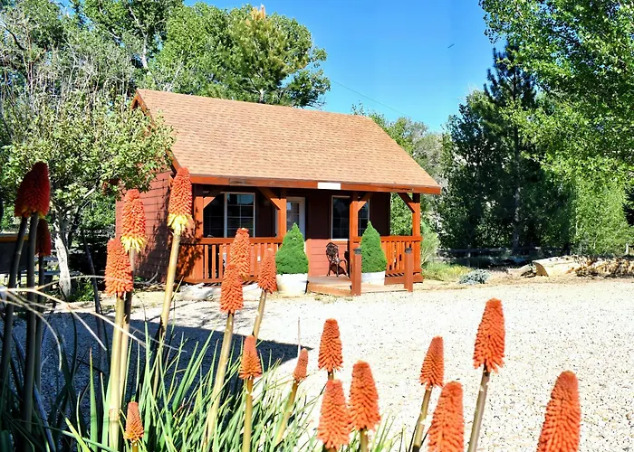 Arrowhead Country Cabins