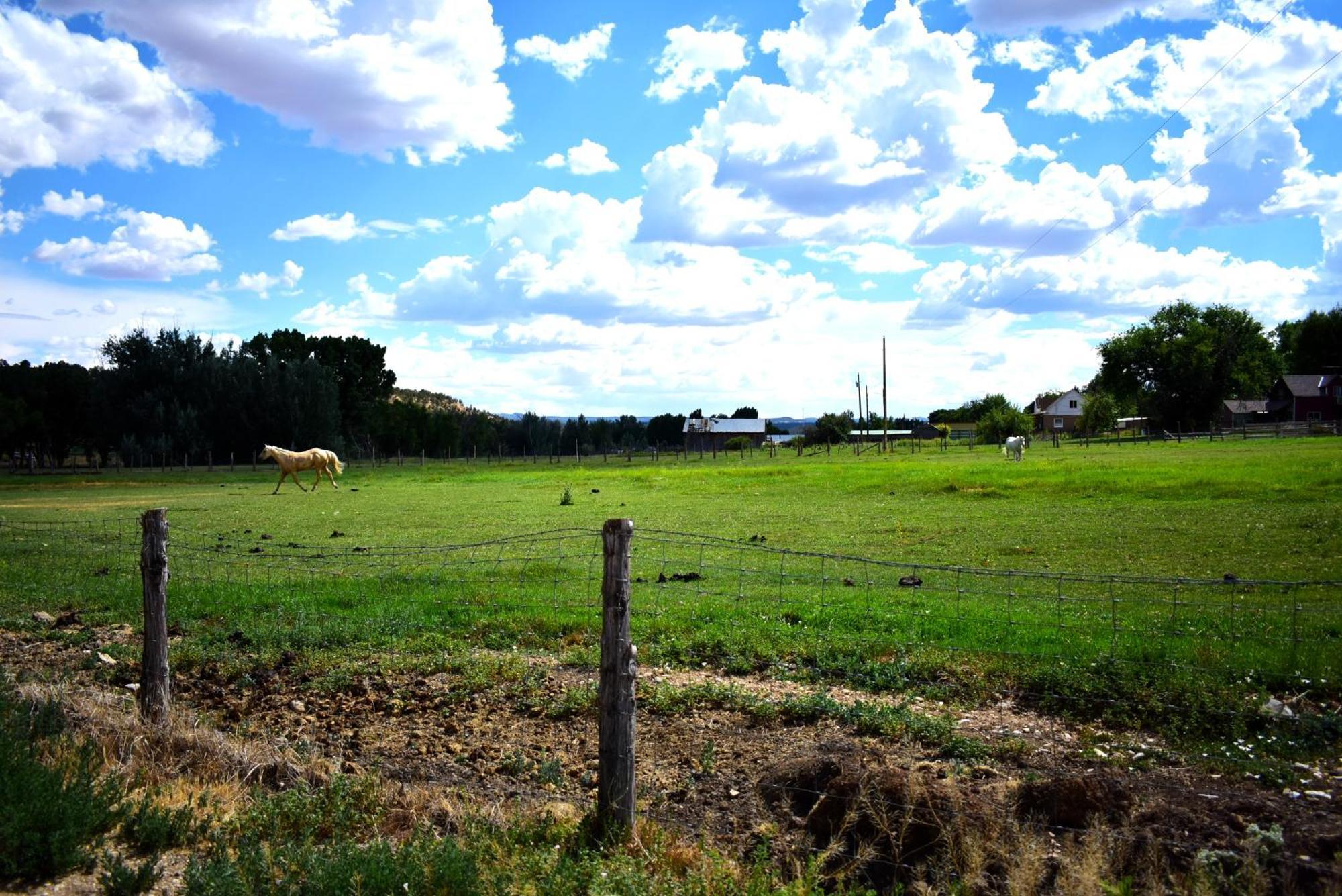 Arrowhead Country *