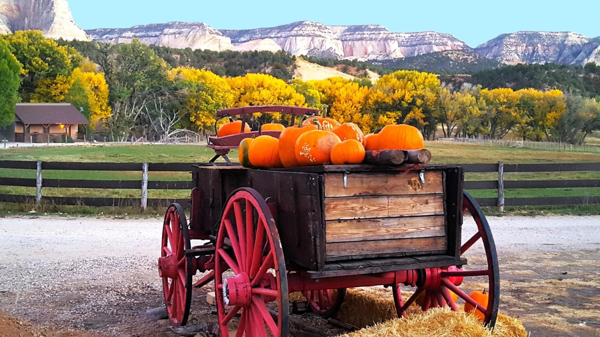 Farm stay Arrowhead Country
