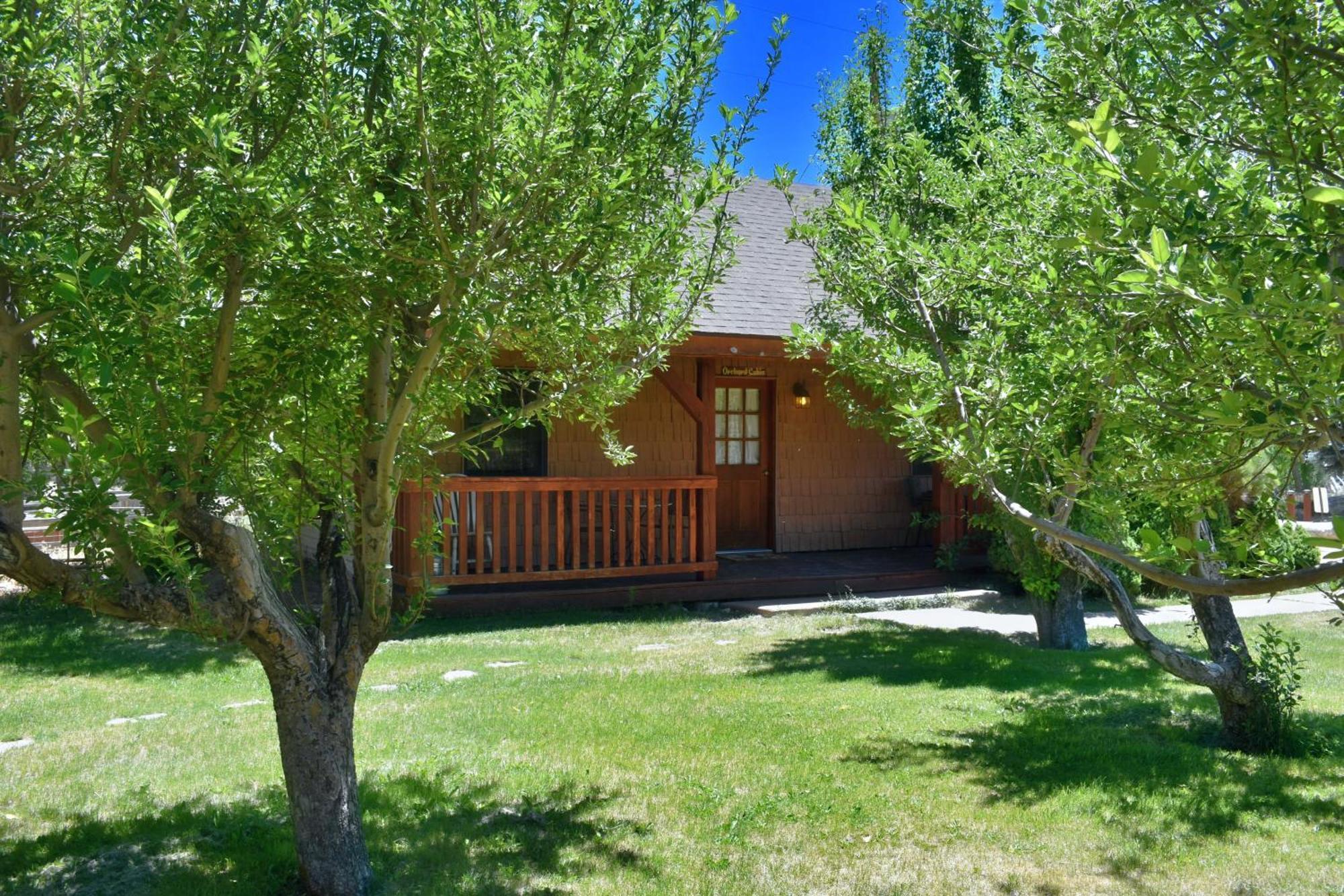 Arrowhead Country Farm stay Mount Carmel