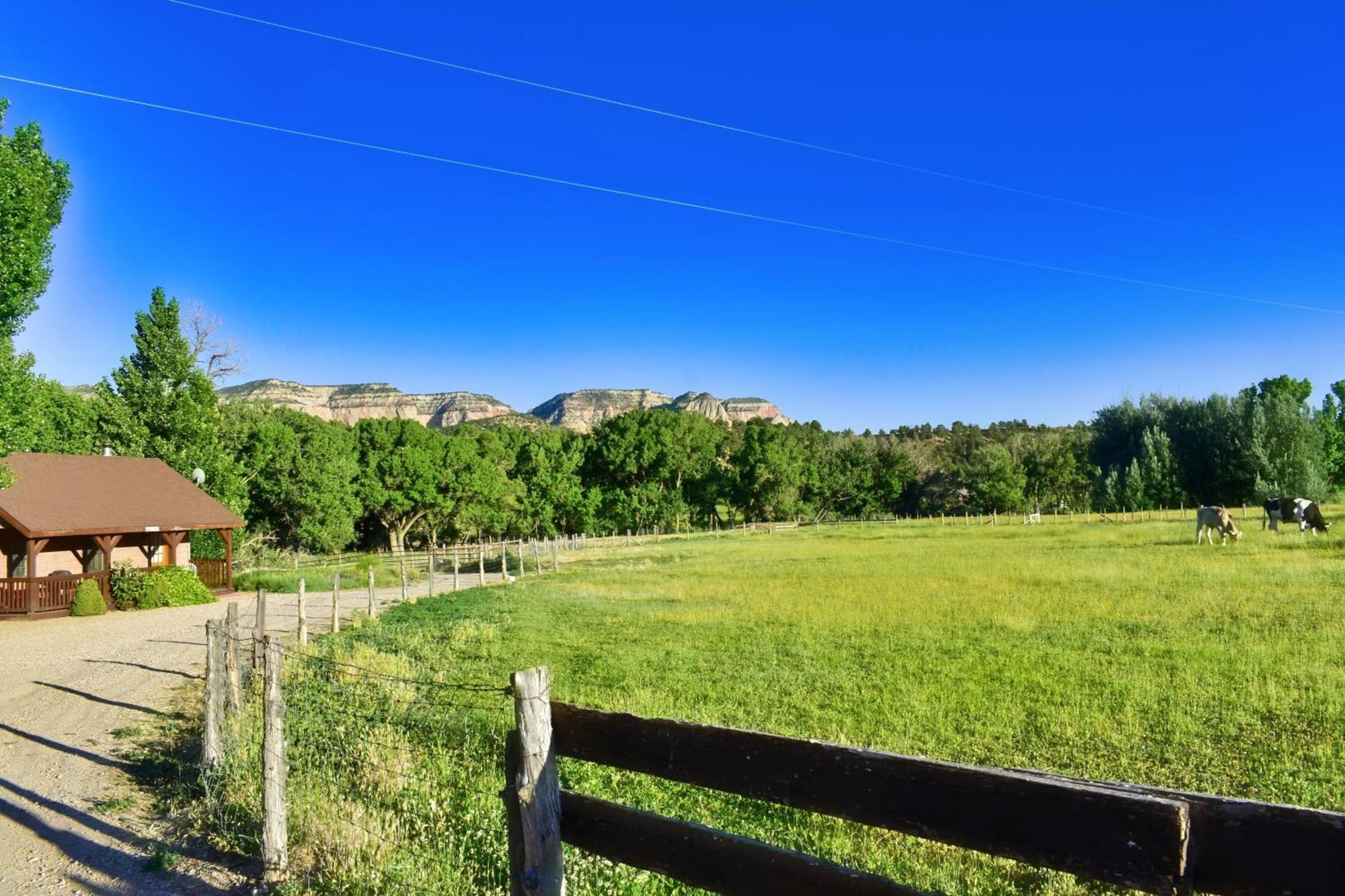 Arrowhead Country Farm stay Mount Carmel